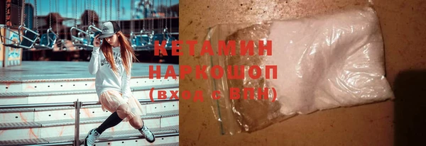 сатива Гусь-Хрустальный