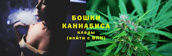 сатива Гусь-Хрустальный