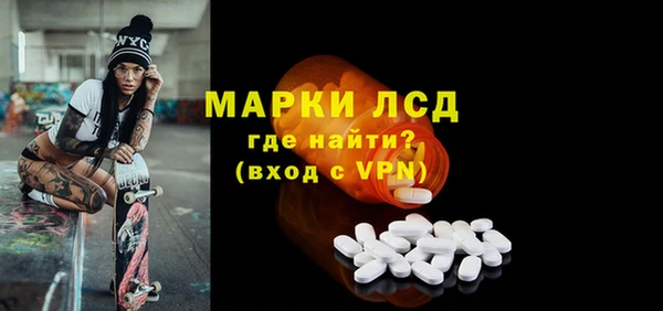 ГАЛЛЮЦИНОГЕННЫЕ ГРИБЫ Гусев
