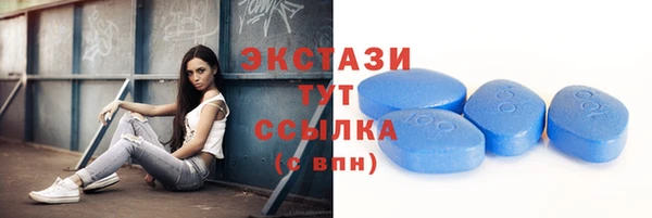 ГАЛЛЮЦИНОГЕННЫЕ ГРИБЫ Гусев