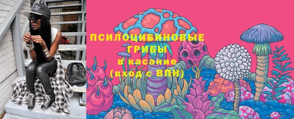 ГАЛЛЮЦИНОГЕННЫЕ ГРИБЫ Гусев
