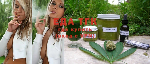 ГАЛЛЮЦИНОГЕННЫЕ ГРИБЫ Гусев