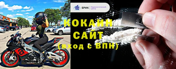 сатива Гусь-Хрустальный