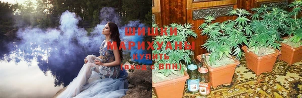 ГАЛЛЮЦИНОГЕННЫЕ ГРИБЫ Гусев