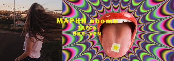 ГАЛЛЮЦИНОГЕННЫЕ ГРИБЫ Гусев
