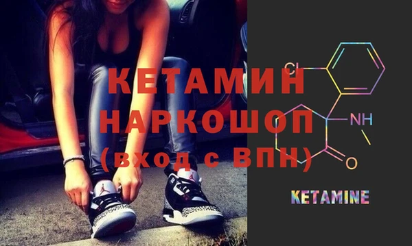 сатива Гусь-Хрустальный